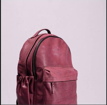 Fielder Daypack